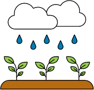 Clouds with rain and green plants growing from soil.